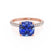 COCO - Cushion Blue Sapphire & Diamond 18k Rose Gold Hidden Halo Triple Pavé Shoulder Set Engagement Ring Lily Arkwright