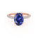 COCO - Oval Blue Sapphire & Diamond 18k Rose Gold Petite Hidden Halo Triple Pavé Shoulder Set Ring Engagement Ring Lily Arkwright