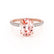 COCO - Oval Champagne Sapphire & Diamond 18k Rose Gold Petite Hidden Halo Triple Pavé Shoulder Set Ring Engagement Ring Lily Arkwright