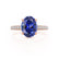 COCO - Oval Blue Sapphire & Diamond 18k Rose Gold Petite Hidden Halo Triple Pavé Shoulder Set Ring Engagement Ring Lily Arkwright