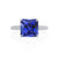COCO - Princess Blue Sapphire & Diamond 950 Platinum Hidden Halo Triple Pavé Shoulder Set Engagement Ring Lily Arkwright