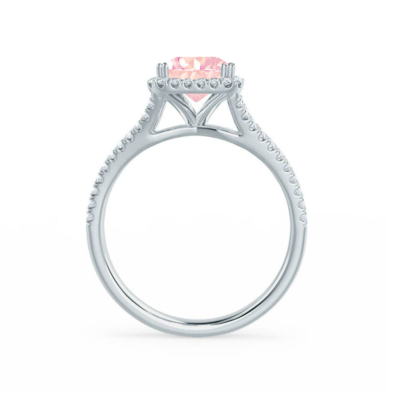 EVERLY - Radiant Champagne Sapphire & Diamond 950 Platinum Split Shank Halo Ring Engagement Ring Lily Arkwright