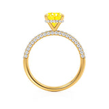 COCO - Cushion Yellow Sapphire & Diamond 18k Yellow Gold Hidden Halo Triple Pavé Shoulder Set Engagement Ring Lily Arkwright