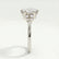 Alya scatter oval lab diamond cluster 18k white gold platinum engagement ring