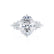 ALYA - Oval Natural Diamond Starburst Cluster Shoulder Set Engagement Ring 18k White Gold Engagement Ring Lily Arkwright