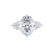 ALYA - Oval Starburst Cluster Shoulder Set Engagement Ring 18k White Gold Engagement Ring Lily Arkwright