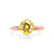 ANNORA - Chatham® Yellow Sapphire 18k Rose Gold Twist Solitaire Ring Engagement Ring Lily Arkwright