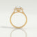 BLUSH - Round Lab Diamond 18k Yellow Gold Petite Halo Ring