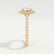 BLUSH - Round Lab Diamond 18k Yellow Gold Petite Halo Ring