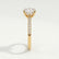 CATALINA - Round Lab Diamond 18k Yellow Gold Shoulder Set Ring