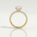 COCO - Oval Lab Diamond 18k Yellow Gold Petite Hidden Halo Triple Pavé Shoulder Set