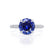 COCO- Round Blue Sapphire & Diamond 18k White Gold Petite Hidden Halo Triple Pavé Shoulder Set Ring Engagement Ring Lily Arkwright