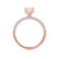 COCO- Round Champagne Sapphire & Diamond 18k Rose Gold Petite Hidden Halo Triple Pavé Shoulder Set Ring Engagement Ring Lily Arkwright