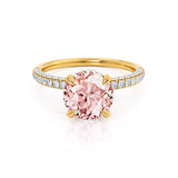 COCO- Round Champagne Sapphire & Diamond 18k Yellow Gold Petite Hidden Halo Triple Pavé Shoulder Set Ring Engagement Ring Lily Arkwright