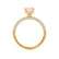 COCO- Round Champagne Sapphire & Diamond 18k Yellow Gold Petite Hidden Halo Triple Pavé Shoulder Set Ring Engagement Ring Lily Arkwright