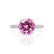 COCO- Round Pink Sapphire & Diamond 950 Platinum Petite Hidden Halo Triple Pavé Shoulder Set Ring Engagement Ring Lily Arkwright