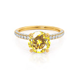 COCO- Round Yellow Sapphire & Diamond 18k Yellow Gold Petite Hidden Halo Triple Pavé Shoulder Set Ring Engagement Ring Lily Arkwright
