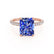 COCO - Radiant Blue Sapphire & Diamond 18k Rose Gold Petite Hidden Halo Triple Pavé Shoulder Set Ring Engagement Ring Lily Arkwright