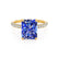 COCO - Radiant Blue Sapphire & Diamond 18k Yellow Gold Petite Hidden Halo Triple Pavé Shoulder Set Ring Engagement Ring Lily Arkwright