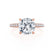 COCO - Cushion Cut Natural Diamond 18k Rose Gold Petite Hidden Halo Triple Pavé Engagement Ring Lily Arkwright