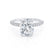 COCO - Elongated Cushion Cut Natural Diamond Platinum Petite Hidden Halo Triple Pavé Engagement Ring Lily Arkwright