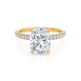 COCO - Elongated Cushion Cut Natural Diamond 18k Yellow Gold Petite Hidden Halo Triple Pavé Engagement Ring Lily Arkwright