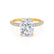 COCO - Elongated Cushion Cut Natural Diamond 18k Yellow Gold Petite Hidden Halo Triple Pavé Engagement Ring Lily Arkwright