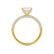 COCO - Princess Lab Diamond 18k Yellow Gold Hidden Halo Triple Pavé Shoulder Set