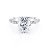 COCO - Oval Natural Diamond Platinum Petite Hidden Halo Triple Pavé Shoulder Set Engagement Ring Lily Arkwright