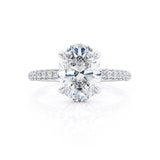 COCO - Oval Natural Diamond Platinum Petite Hidden Halo Triple Pavé Shoulder Set Engagement Ring Lily Arkwright