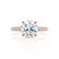 COCO- Round Natural Diamond 18k Rose Gold Petite Hidden Halo Triple Pavé Shoulder Set Ring Engagement Ring Lily Arkwright