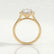 DARLEY - Elongated Cushion Lab Diamond 18k Yellow Gold Halo