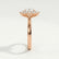 DIANA - Iconic Oval Lab Diamond 18k Rose Gold Halo