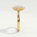 DIANA - Iconic Oval Lab Diamond 18k Yellow Gold Halo