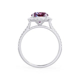 DARLEY - Alexandrite Elongated Cushion Micro Pavé 18k White Gold Halo Engagement Ring Lily Arkwright