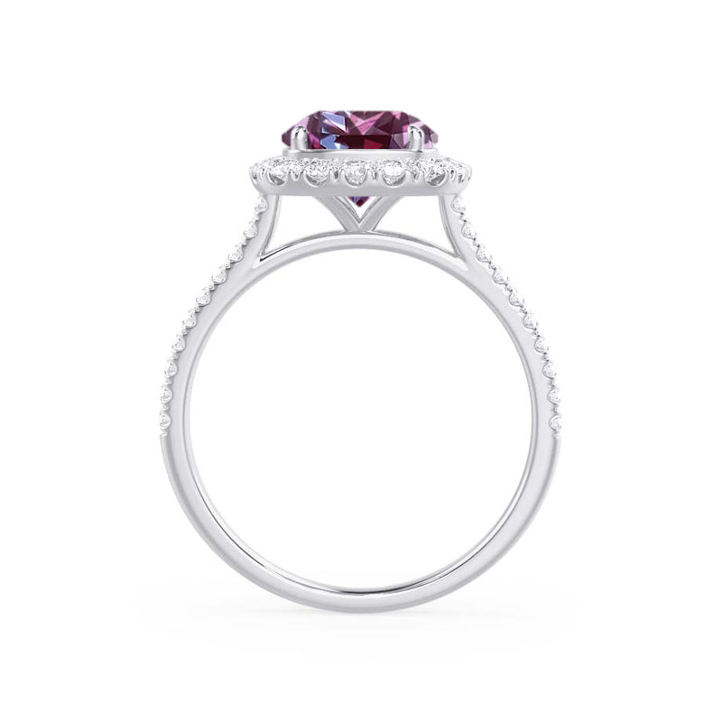 DARLEY - Alexandrite Elongated Cushion Micro Pavé 18k White Gold Halo Engagement Ring Lily Arkwright
