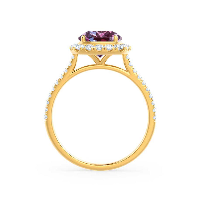 DARLEY - Alexandrite Elongated Cushion Micro Pavé 18k Yellow Gold Halo Engagement Ring Lily Arkwright