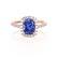 DARLEY - Blue Sapphire Elongated Cushion Micro Pavé 18k Rose Gold Halo Engagement Ring Lily Arkwright