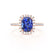 DARLEY - Blue Sapphire Elongated Cushion Micro Pavé 18k Rose Gold Halo Engagement Ring Lily Arkwright