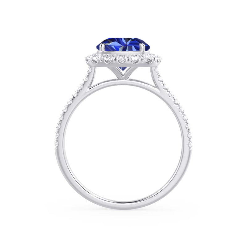DARLEY - Blue Sapphire Elongated Cushion Micro Pavé 950 Platinum Halo Engagement Ring Lily Arkwright