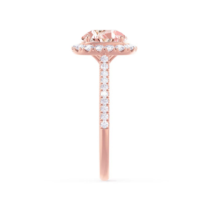 DARLEY - Champagne Sapphire Elongated Cushion Micro Pavé 18k Rose Gold Halo Engagement Ring Lily Arkwright