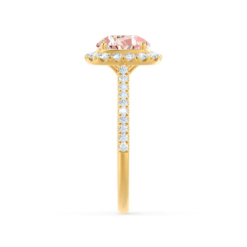 DARLEY - Champagne Sapphire Elongated Cushion Micro Pavé 18k Yellow Gold Halo Engagement Ring Lily Arkwright