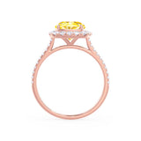 DARLEY - Yellow Sapphire Elongated Cushion Micro Pavé 18k Rose Gold Halo Engagement Ring Lily Arkwright