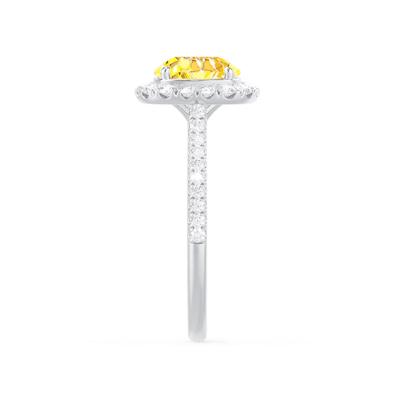 DARLEY - Yellow Sapphire Elongated Cushion Micro Pavé 950 Platinum Halo Engagement Ring Lily Arkwright