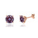 DOVE - Round Alexandrite 18k Rose Gold Stud Earrings Earrings Lily Arkwright
