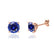 DOVE - Round Blue Sapphire 18k Rose Gold Stud Earrings Earrings Lily Arkwright