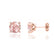 DOVE - Round Champagne Sapphire 18k Rose Gold Stud Earrings Earrings Lily Arkwright