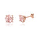 DOVE - Round Champagne Sapphire 18k Rose Gold Stud Earrings Earrings Lily Arkwright
