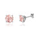 DOVE - Round Champagne Sapphire Platinum Stud Earrings Earrings Lily Arkwright