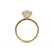 HALLIE - Elongated Oval Lab Diamond Hidden Gallery Solitaire Engagement Ring Inspired by Hailey Bieber